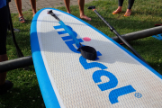 Einsteigerkurs Stand-Up-Paddling - Juni 2026
