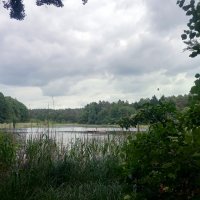 Feldberger Seen