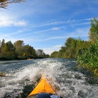 Spree ab Cottbus