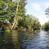 Spree ab Cottbus
