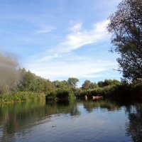 Spree ab Cottbus