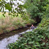 Spreewald
