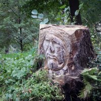 Spreewald