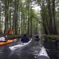 Spreewald
