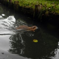 2021 - Spreewald