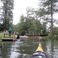 Spreewald
