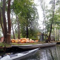 Spreewald