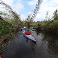 Kleinflusstouren in der Nordheide
