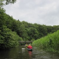 Schlei