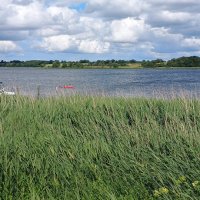 Schlei