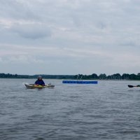Schlei