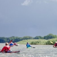Schlei