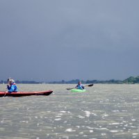 Schlei