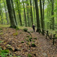 Rhön