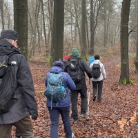 Deisterwanderung