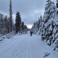 Oderbrück