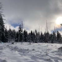 Oderbrück