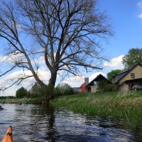 Gifhorner Aller