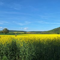 Eder und Schwalm