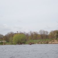 Vereinsanpaddeln