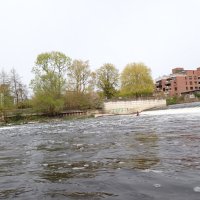 Vereinsanpaddeln