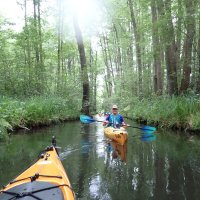 Spreewald
