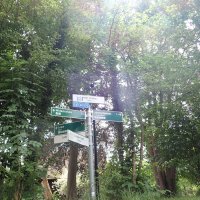 Spreewald