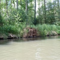 Spreewald
